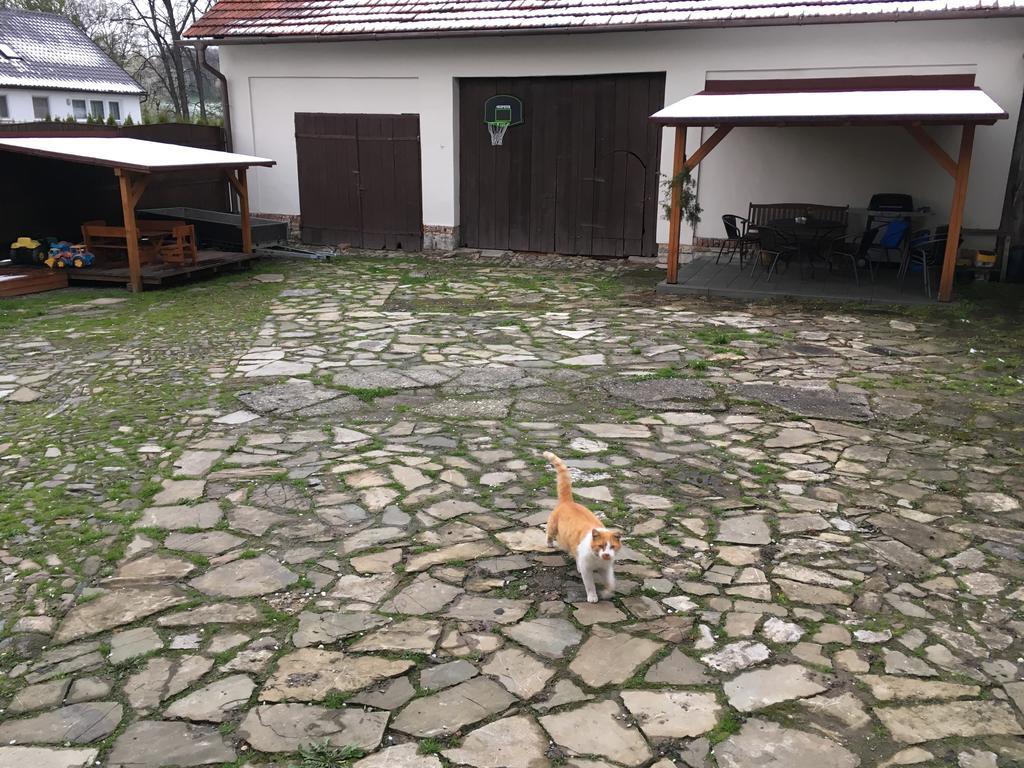 V Soukromí U Volného Appartement